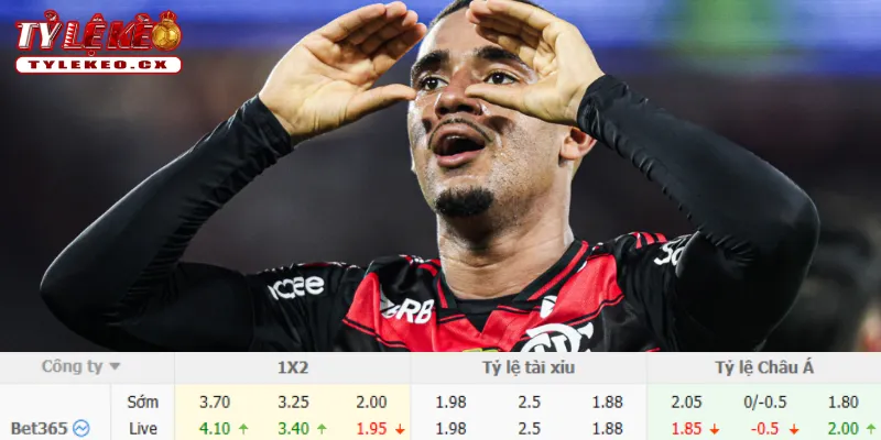 Thành tích thi đấu trước trận Internacional vs Flamengo