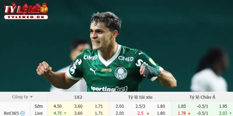 Chi tiết kèo Fortaleza vs Palmeiras